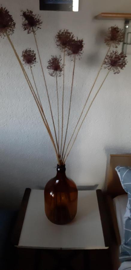 Bamboo Apartman Порторож Экстерьер фото